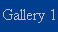 Gallery 1