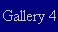 Gallery 4