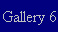 Gallery 6